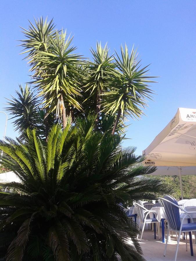 Hotel Jovana Budua Esterno foto